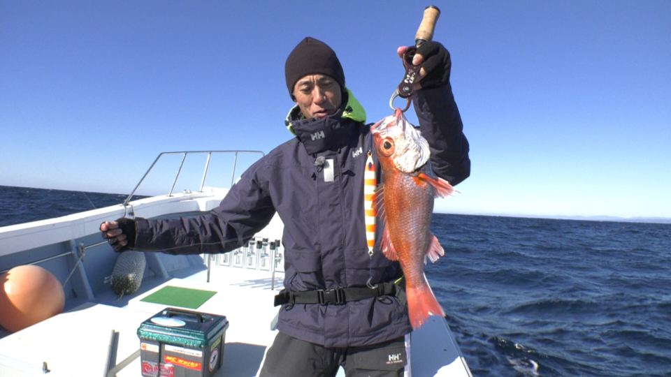 赤沼丸の釣果 - アングラーズ  釣果500万件の魚釣り情報サイト