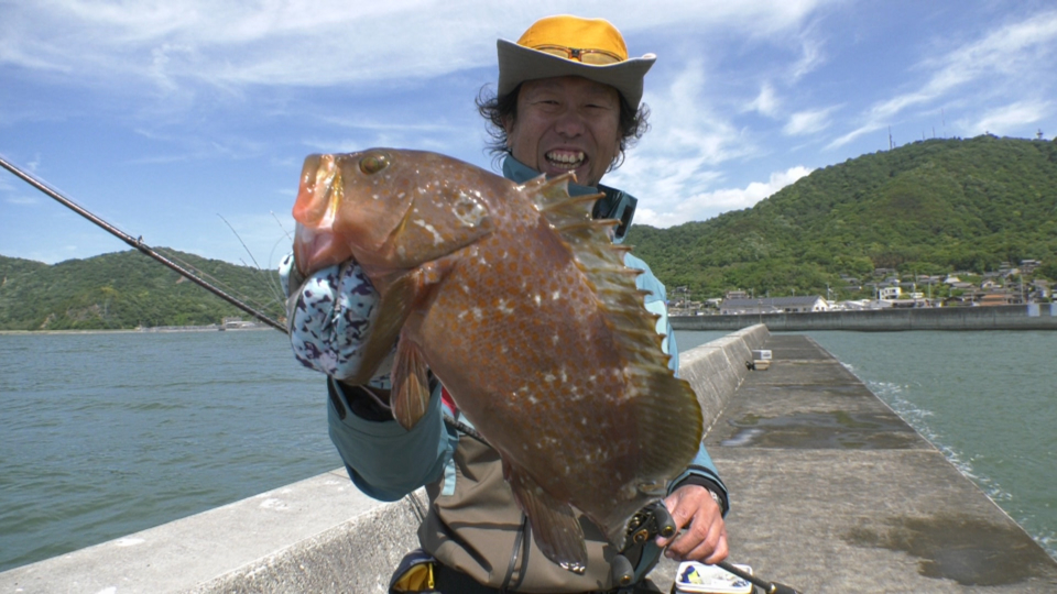 えっ！魚種多彩！アコウに尺アジ！ハネ、メバル！カレイにチヌも！！, フィッシングマックス 関西の釣果