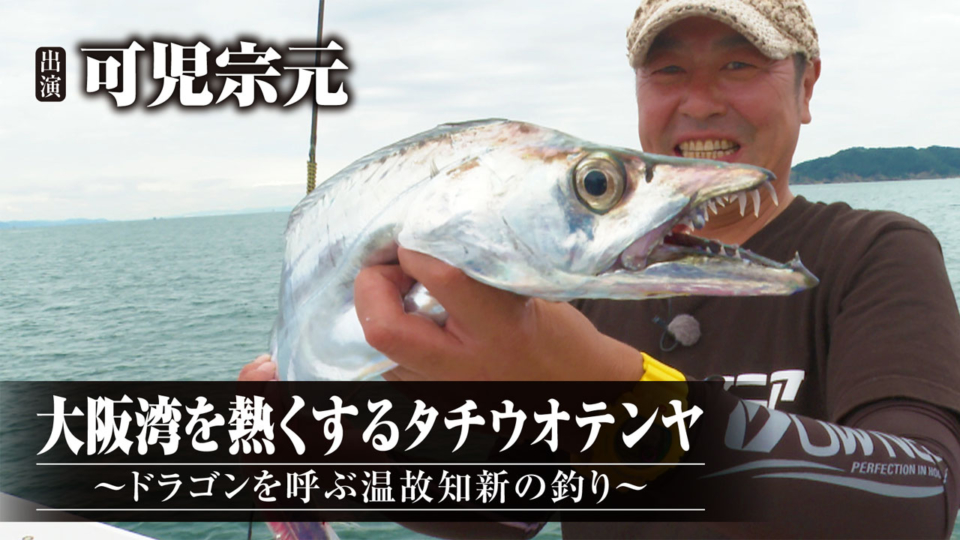 388 大阪湾を熱くするタチウオテンヤ～ドラゴンを呼ぶ温故知新の釣り ...